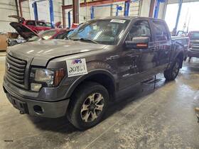135-00231r Ford Truck 10 - 14 F-150 Pass. Side Rear Door Window Regulator E776485