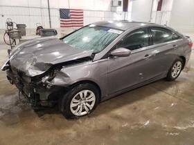 Hyundai 745.hy1p11 Sonata Door Glass Window Seal Rubber Right Passenger Front 2011 2012 Oem
