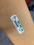 Gm 88980649 Window Regulator W/o Motor. Fixed Price $105.00.