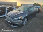 Right Gry Front Door Assembly Oem 13-20 Ford Fusion. Fixed Price $100.00.