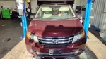 Driver Rear Window Regulator Us Market Electric Lx Fits 11-17 Odyssey 1119708. Fixed Price $95.00.