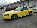 Passenger Quarter Window Regulator Convertible Fits 01-04 Mustang 5319999. Fixed Price $150.00.