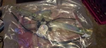 Front Left Window Regulator & Motor For 1992-1996 Toyota Camry. Fixed Price $29.99.