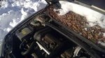 Rear Wiper Motor Station Wgn Fits 01-07 Volvo 70 Series 759935. Fixed Price $59.99.
