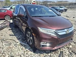 2019 Honda Odyssey Right Front Window Regulator Oem Used 103K Miles 4DR. Fixed Price $80.70.
