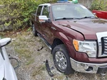 Passenger Front Window Regulator Crew Cab Fits 09-10 Ford F150 Pickup 3693857. Fixed Price $84.95.
