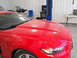 2015 Ford Mustang Driver Left Front Window Regulator Used 103K Miles Oem. Fixed Price $98.80.
