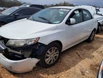 Passenger Rear Window Regulator Hatchback Manual Fits 10-13 Forte 5001248. Fixed Price $81.90.