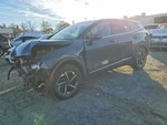 Passenger Front Door Us Built Solar Glass Fits 23-24 Sportage 11617482. Fixed Price $1080.00.