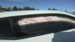 Passenger Right Front Door Glass Coupe Fits 16-23 Camaro 30935005. Fixed Price $136.53.