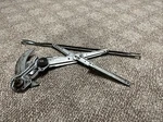 1990-1991 Honda Civic Hatch Ef Passenger Right Front Window Regulator Oem. Fixed Price $88.00.