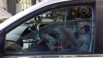 09-14 Volkswagen Vw Routan Front Door Glass Left Driver Side Oem 7B0845201. Fixed Price $118.74.