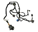 17-22 Alfa Romeo Giulia Rear Door Wire Harness Right Passenger Side Oem 21K. Fixed Price $23.78.