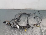 2021 Mclaren 765LT Right Door Wiring Harness #5537 C7. Fixed Price $127.99.