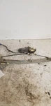 Passenger Rear Window Regulator Only Fits 95-99 Avalon 318130. Fixed Price $85.00.