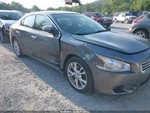 Used Front Right Door Window Regulator Fits: 2014 Nissan Maxima. Fixed Price $154.90.