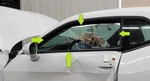 2008-2022 Dodge Challenger Left Driver Front Door Glass Window. Fixed Price $110.00.