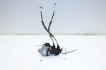 2018-2023 Kia Stinger GT1 Front Left Side Door Lock Latch Actuator 81310J5000. Fixed Price $54.15.