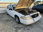 Passenger Right Rear Window Regulator Fits 92-11 Crown Victoria 104757761. Fixed Price $69.70.