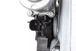 Genuine Gm Rear Side Door Window Regulator 25984336. Fixed Price $112.99.