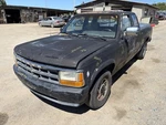 Passenger Right Front Window Regulator Manual Fits 91-93 Dakota 1497617. Fixed Price $50.00.