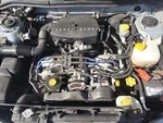 Driver Front Regulator Electric Windows Fits 98-02 Forester 24957301. Fixed Price $110.70.