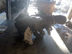 Turbo/supercharger Fits 19-25 Ascent 142196. Fixed Price $252.72.