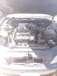 Passenger Right Rear Window Regulator Fits 92-96 Lexus ES300 29686943. Fixed Price $110.70.