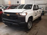 Rear Door For Colorado Assy Wht Pwr 000 Left. Fixed Price $524.99.