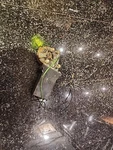 Mercedes 560SL Left Window Motor 0130821017 450SLC 380SL 280SL 500SL R107 C107. Fixed Price $150.00.